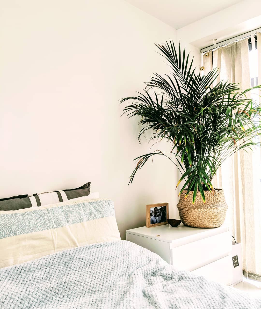 Cute and simple Dorm Room Ideas For College Students! Find the perfect dorm decor that fits your minimalist style. Get the best dorm room inspo and create the college bedroom of your dreams #dormroom #minimalistdorm #dormroomideas